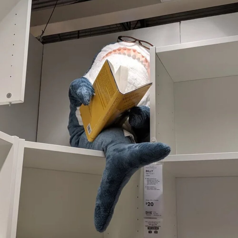 Meet your Posher, Jacki